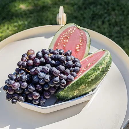 Casa Charlotte Na Quinta Da Balaia Tatil Evi